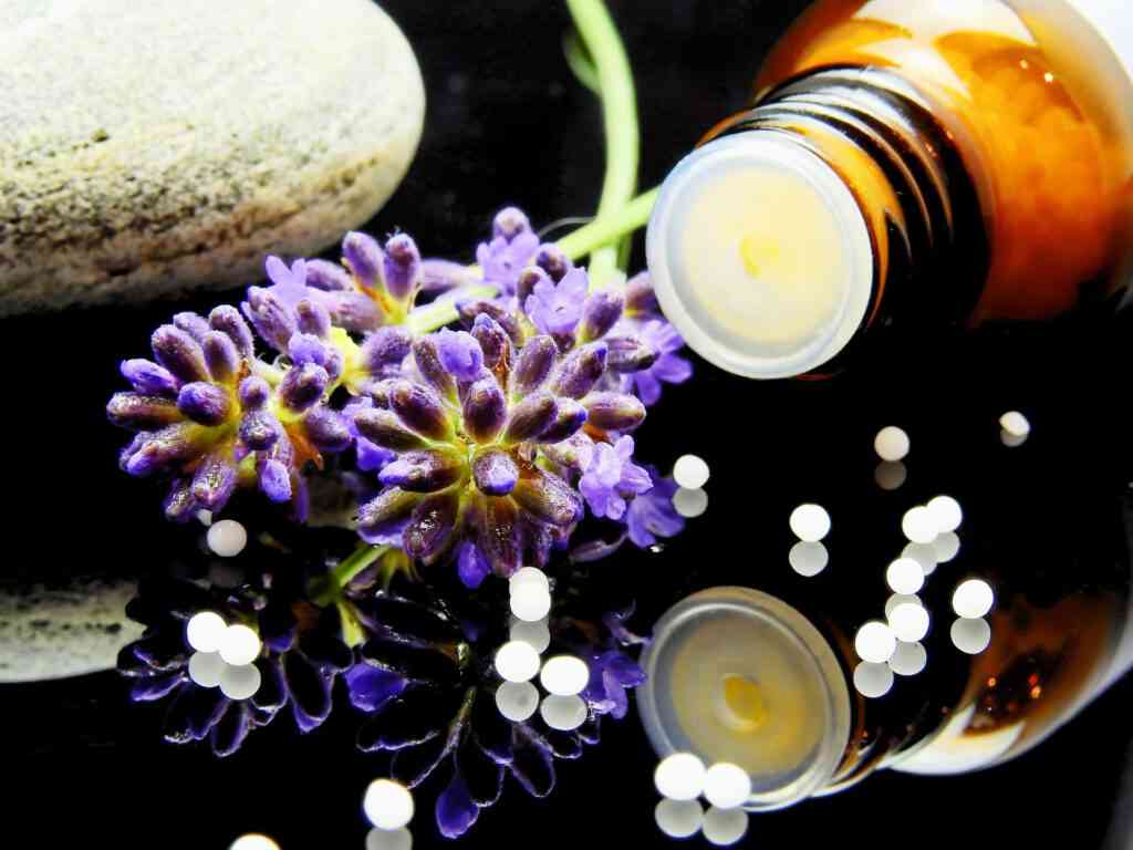 consult randstad homeopaten