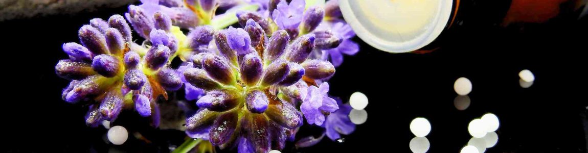 Contact Randstad Homeopaten